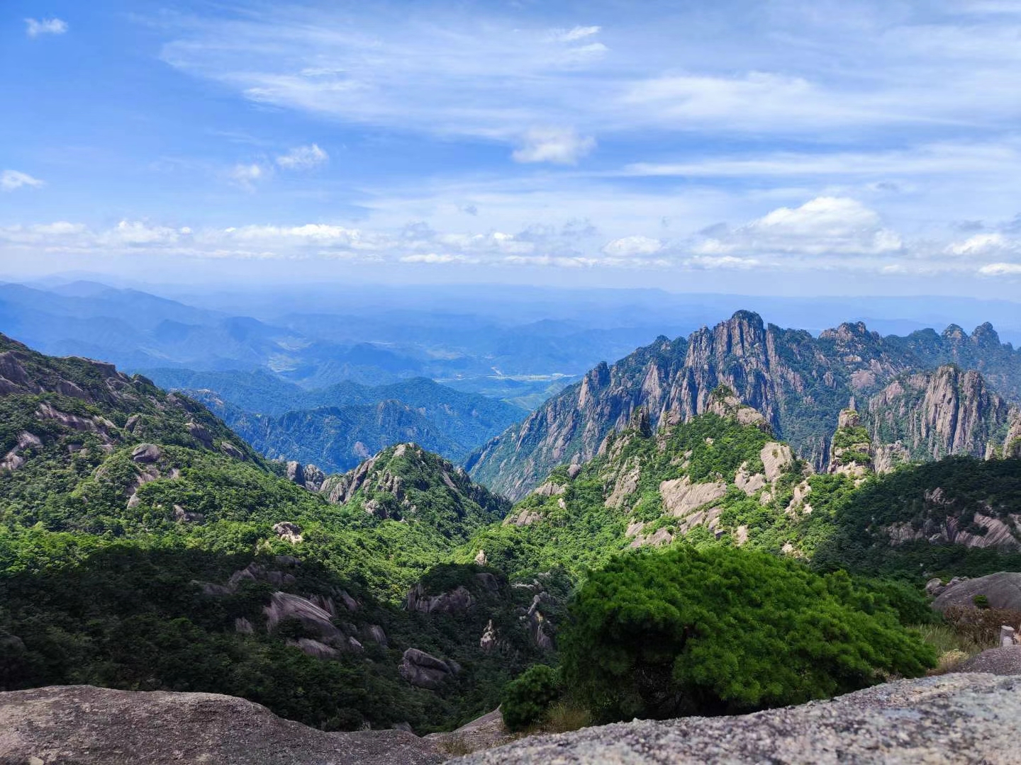 丛丛相亲交友平台