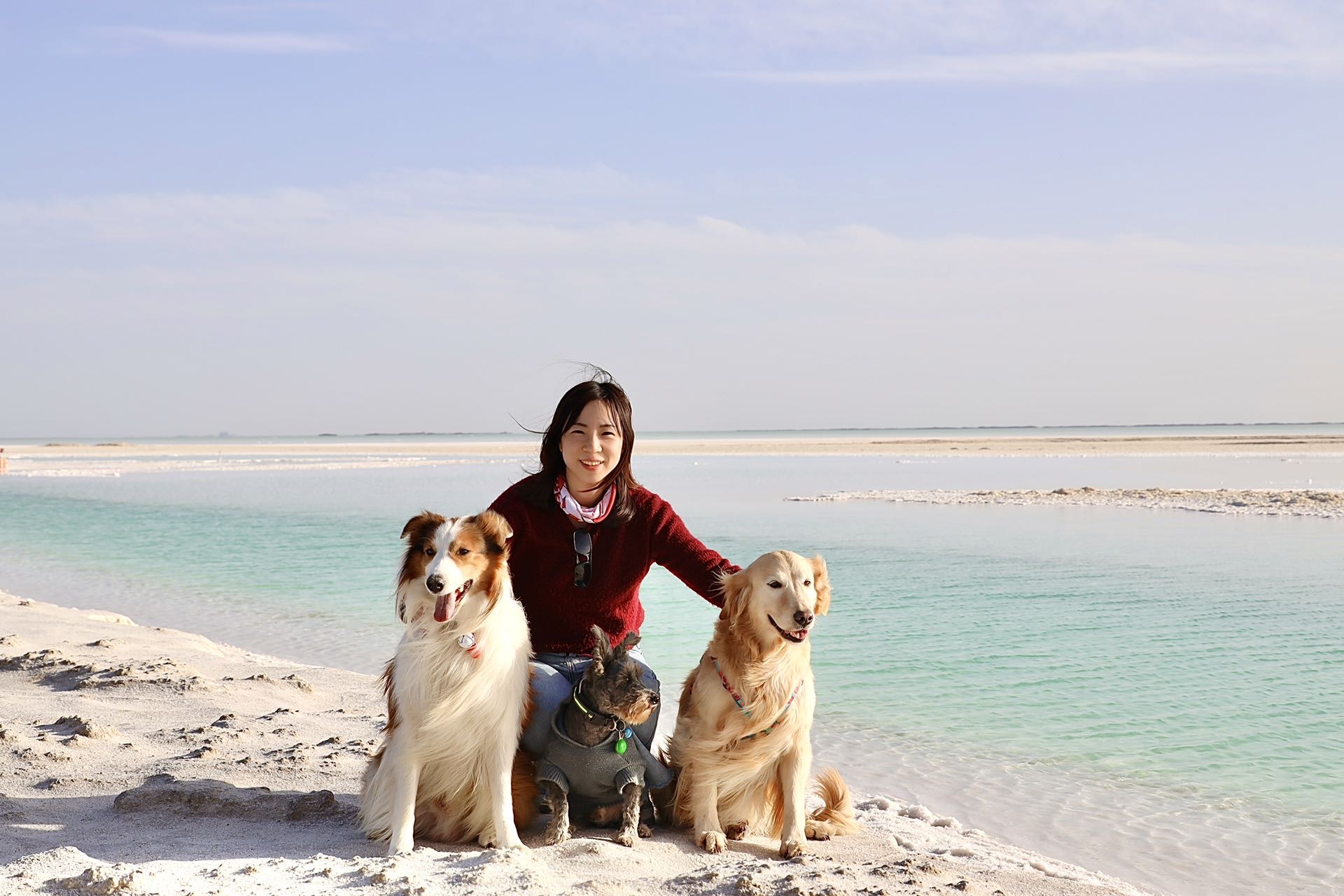 丛丛相亲交友平台