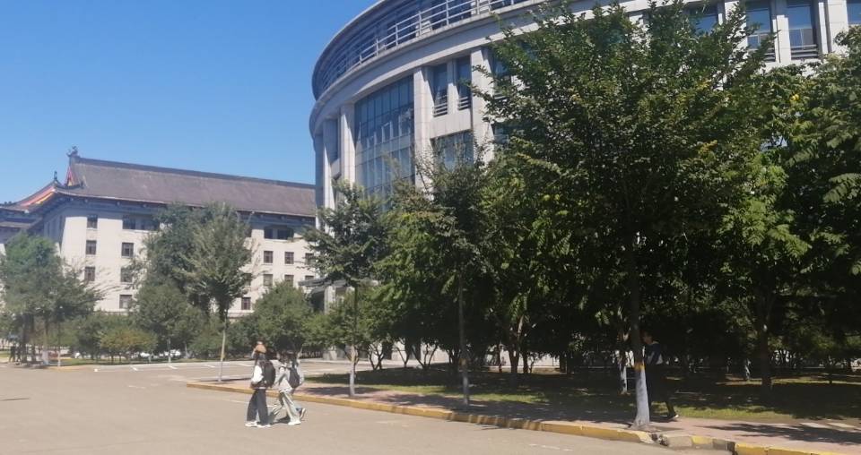 丛丛相亲交友平台