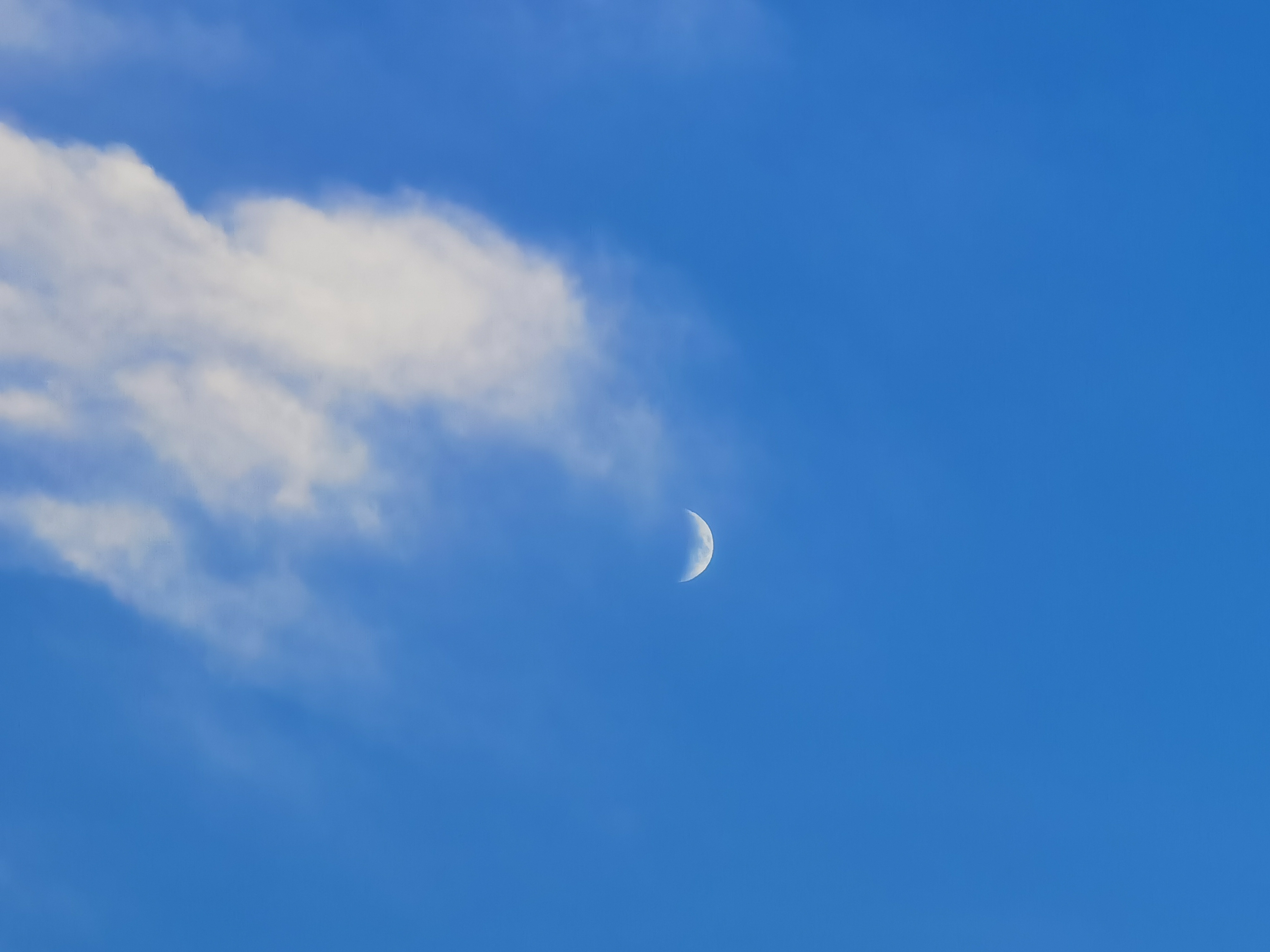 丛丛相亲交友平台