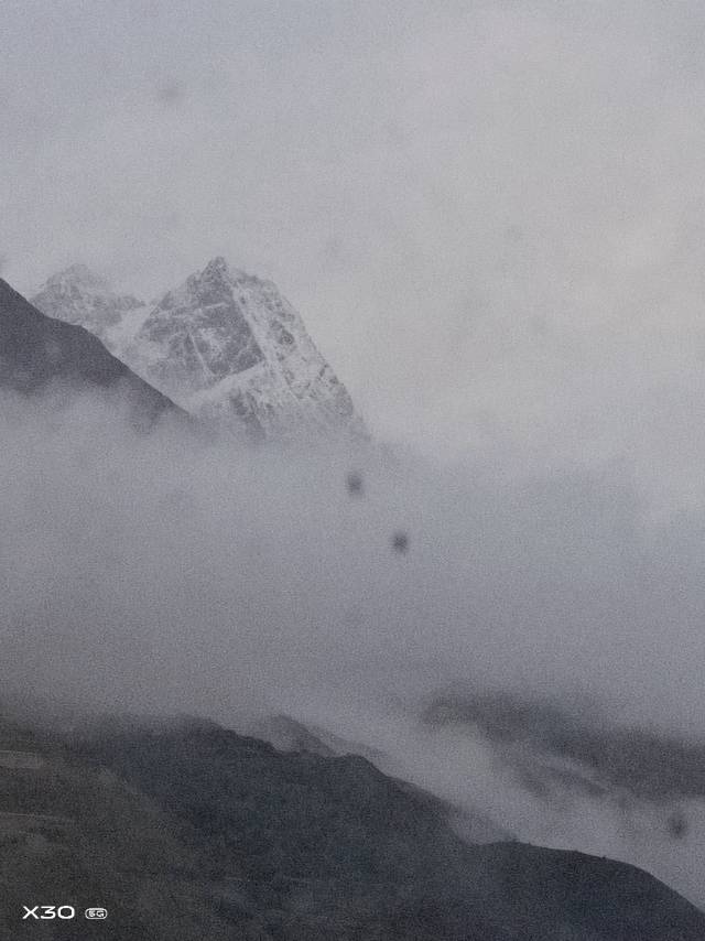 丛丛相亲交友平台