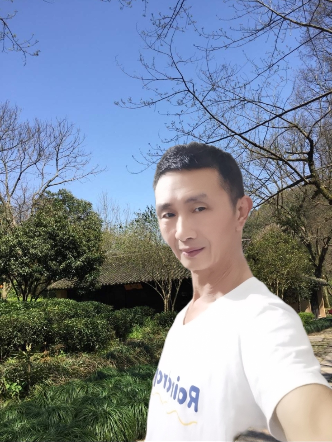 丛丛相亲交友平台