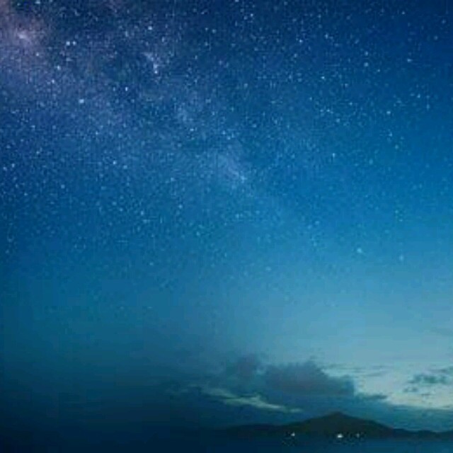 丛丛相亲交友平台