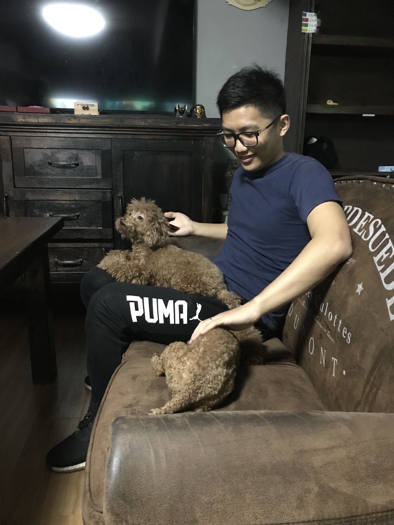 丛丛相亲交友平台