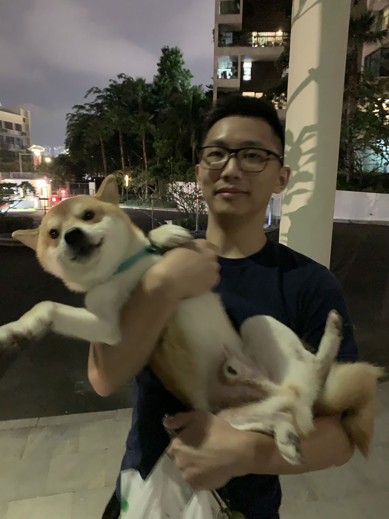 丛丛相亲交友平台