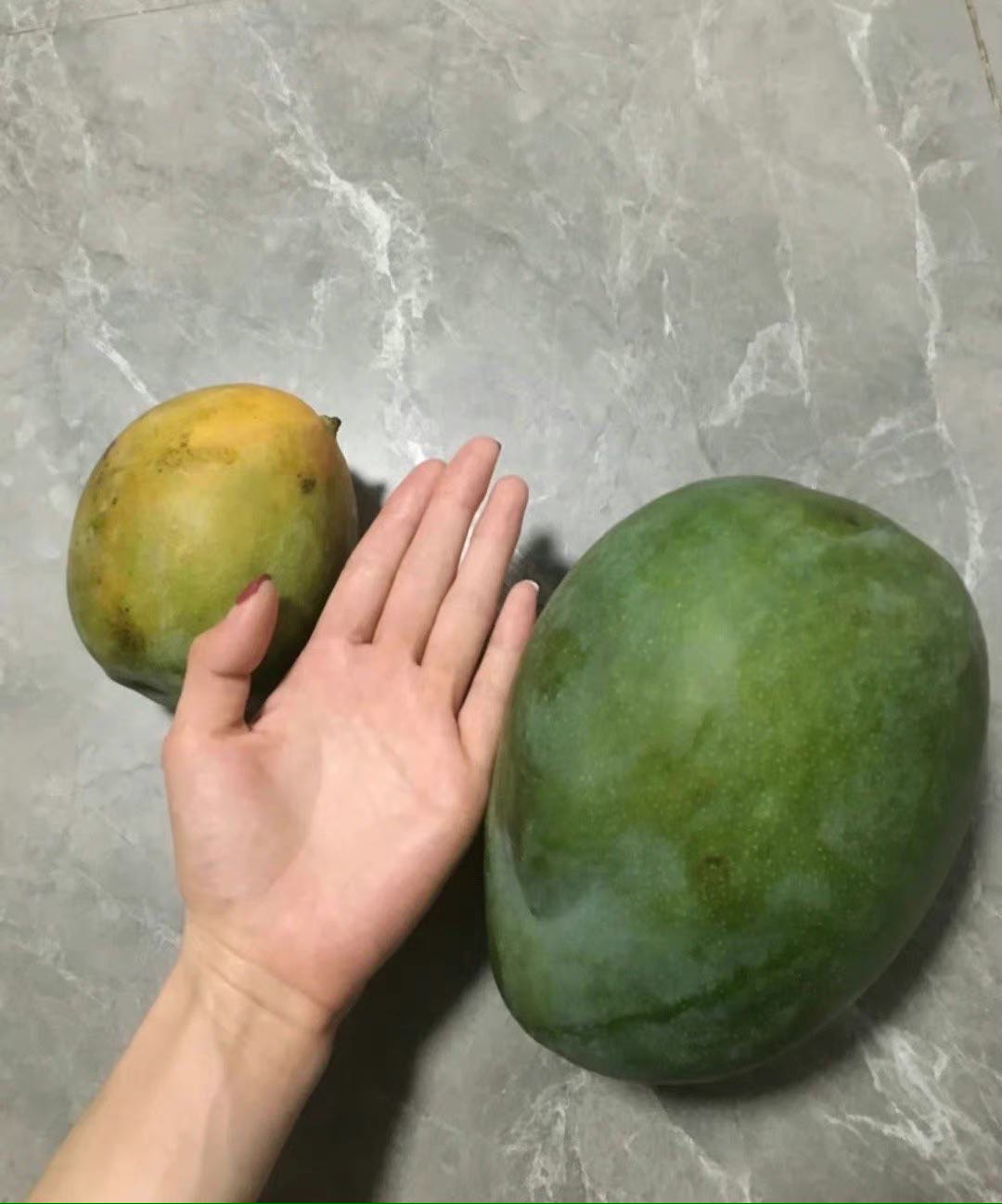 找搭子