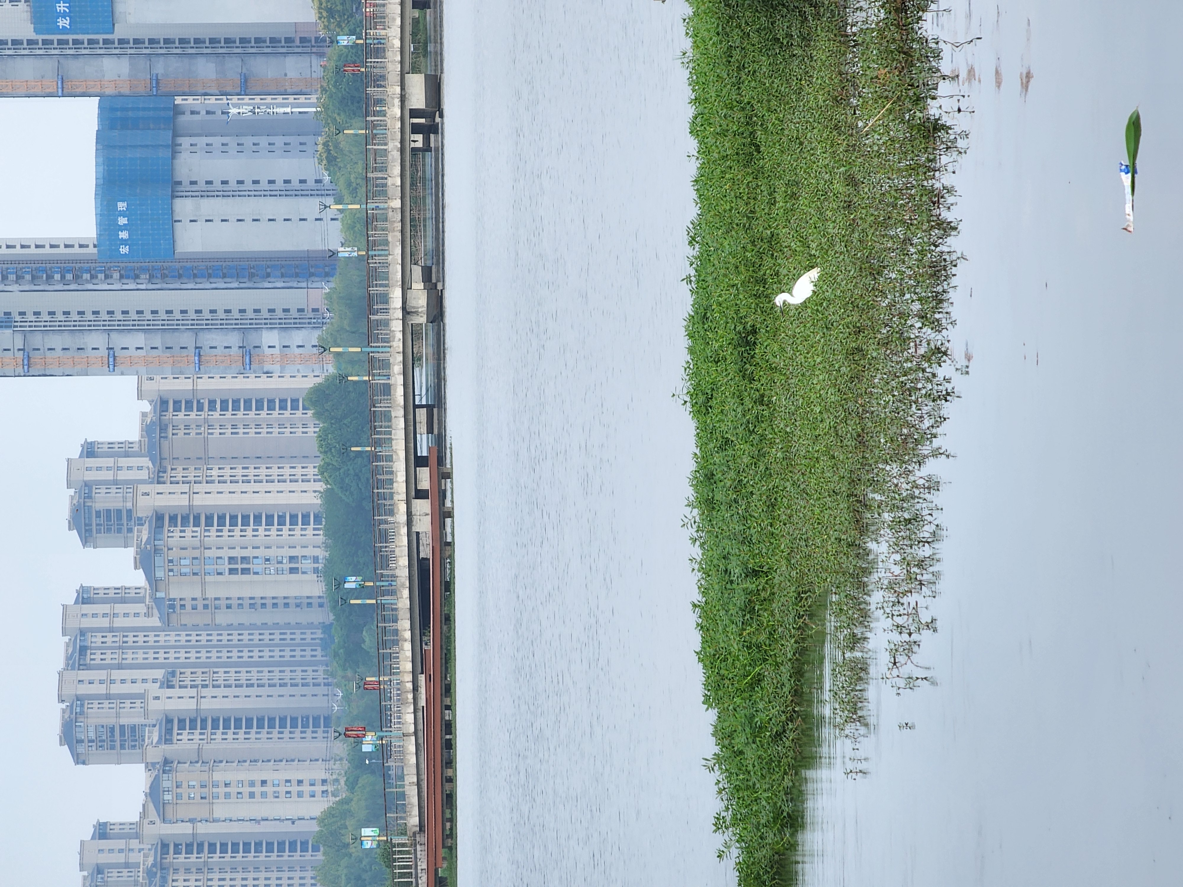 丛丛相亲交友平台