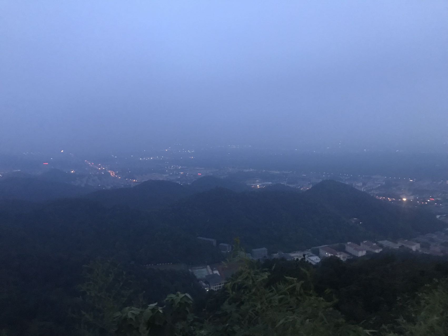 丛丛相亲交友平台