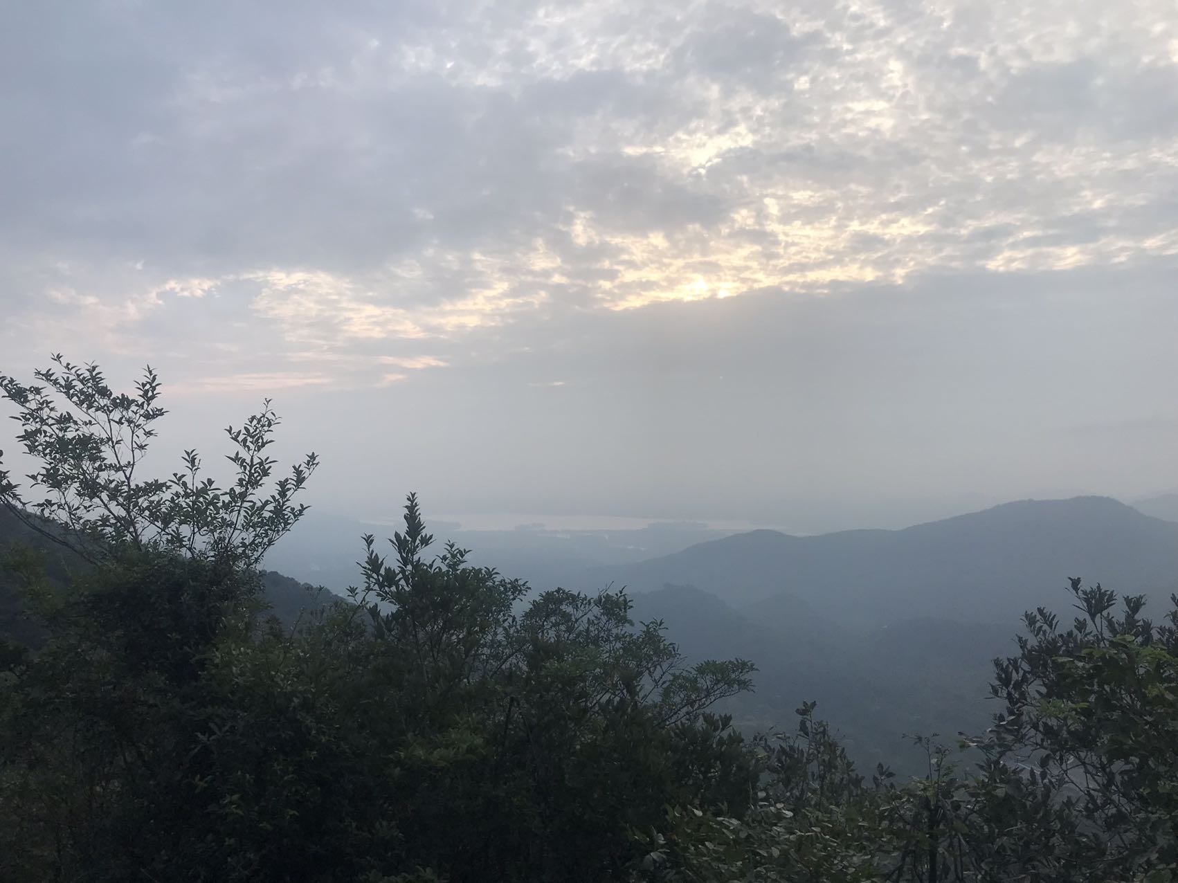 丛丛相亲交友平台