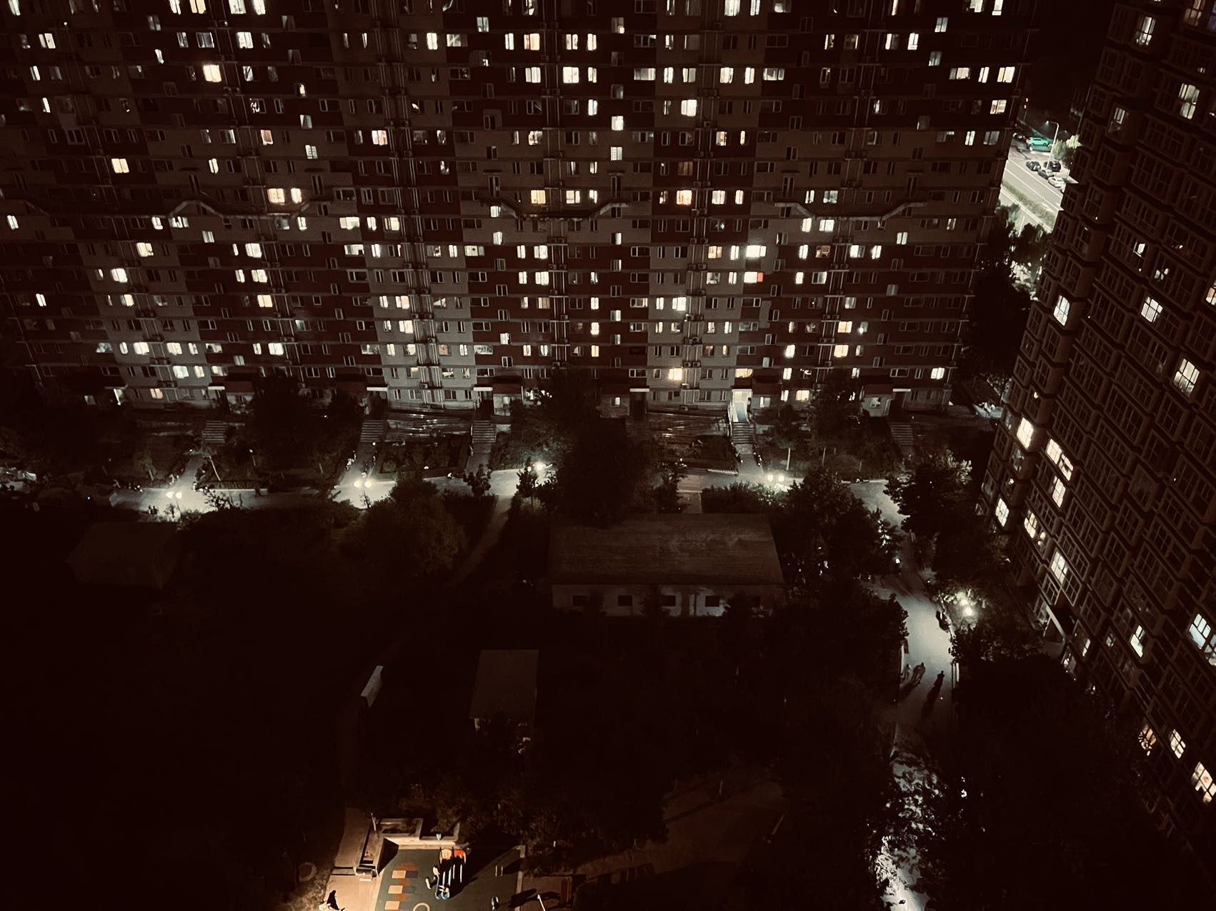 丛丛相亲交友平台