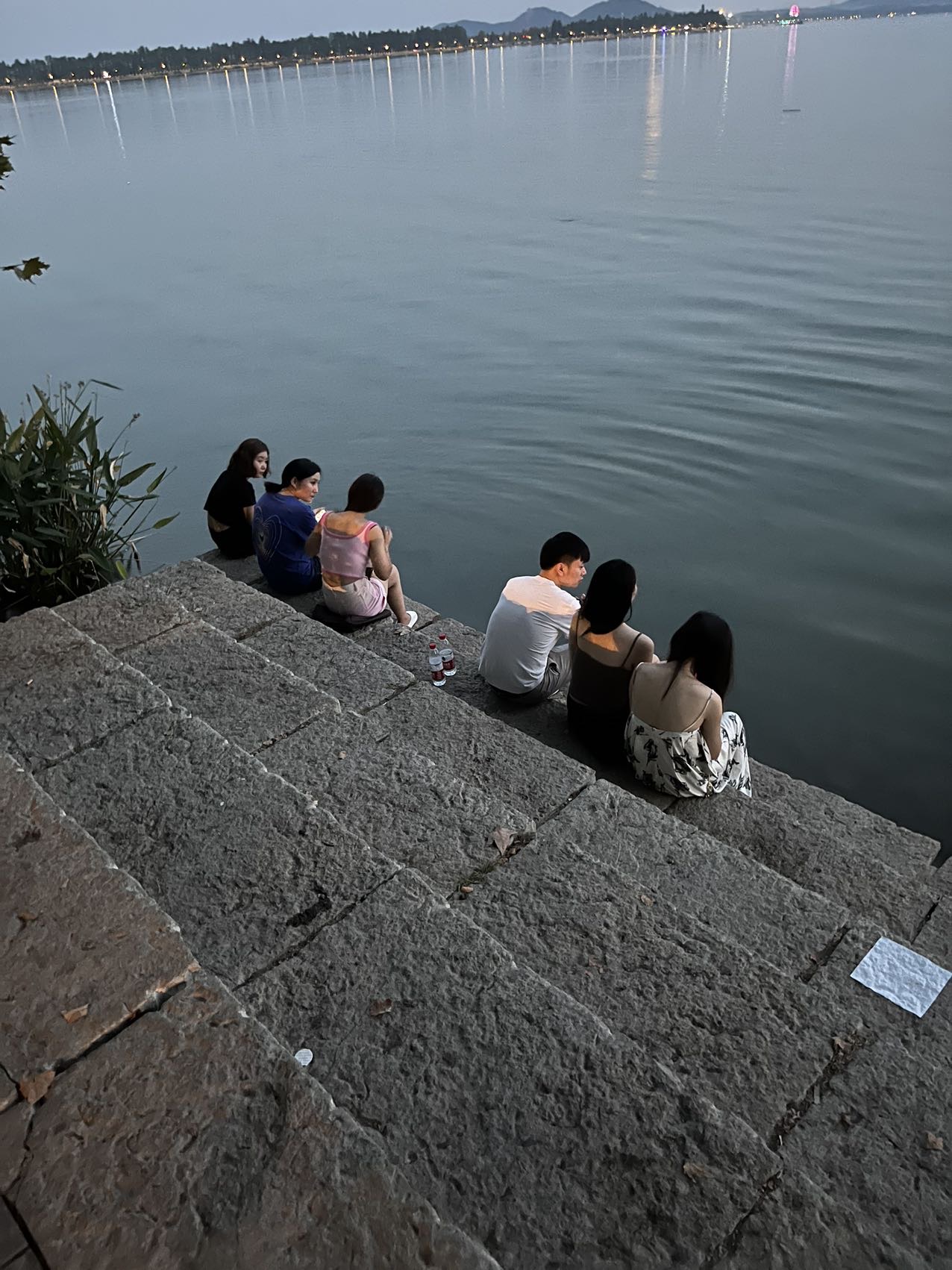 丛丛相亲交友平台