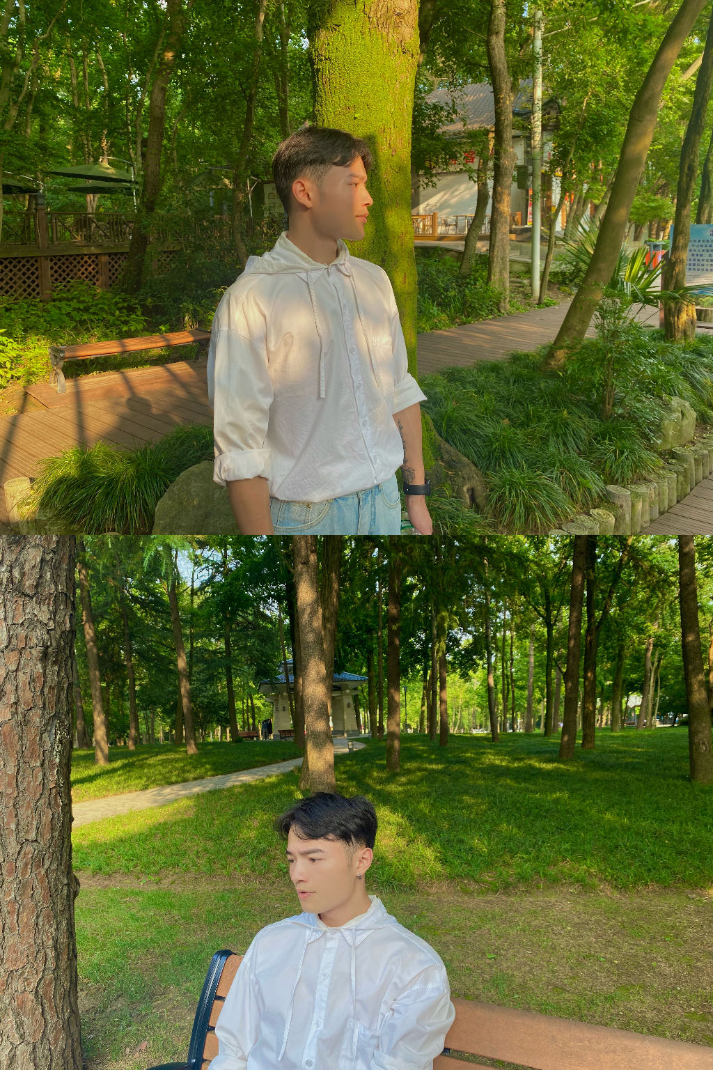 丛丛相亲交友平台