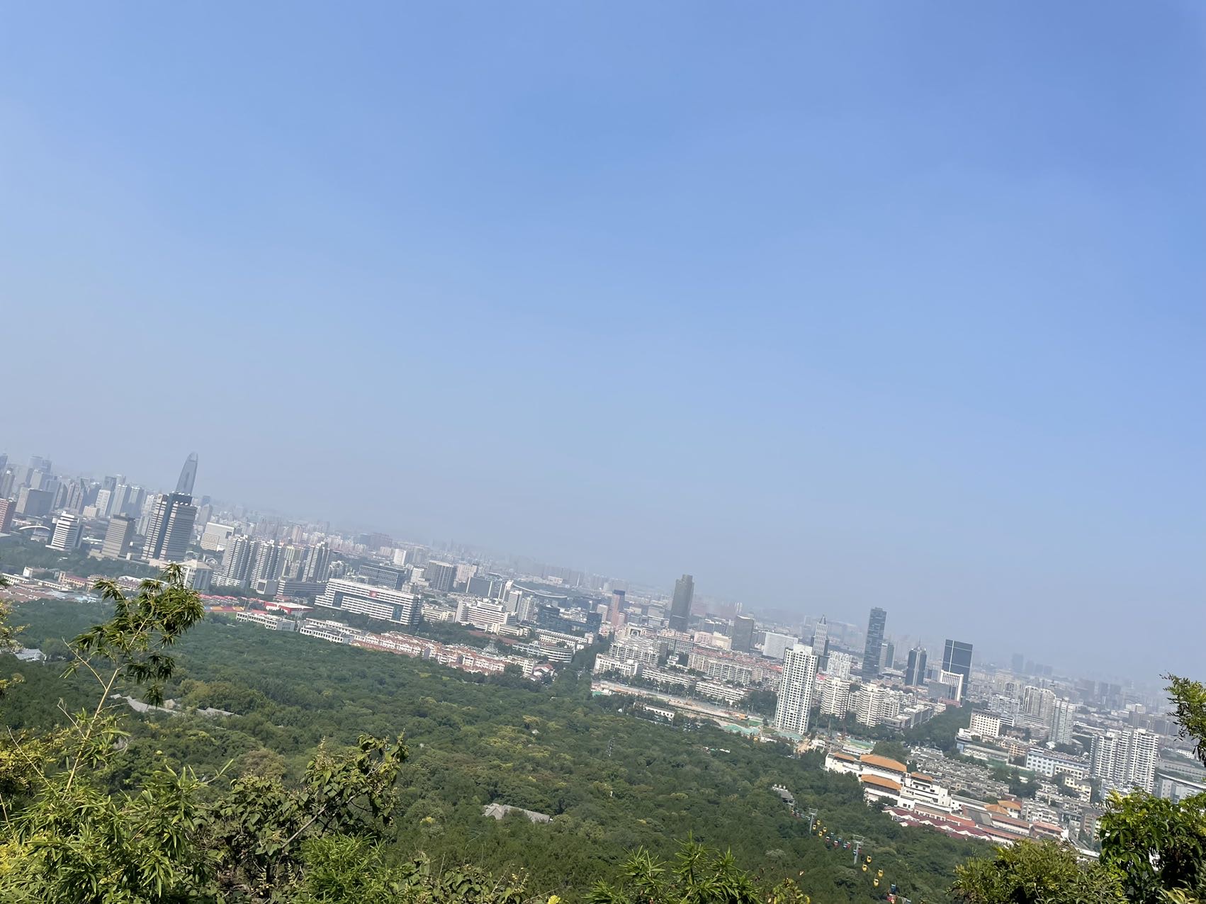 丛丛相亲交友平台