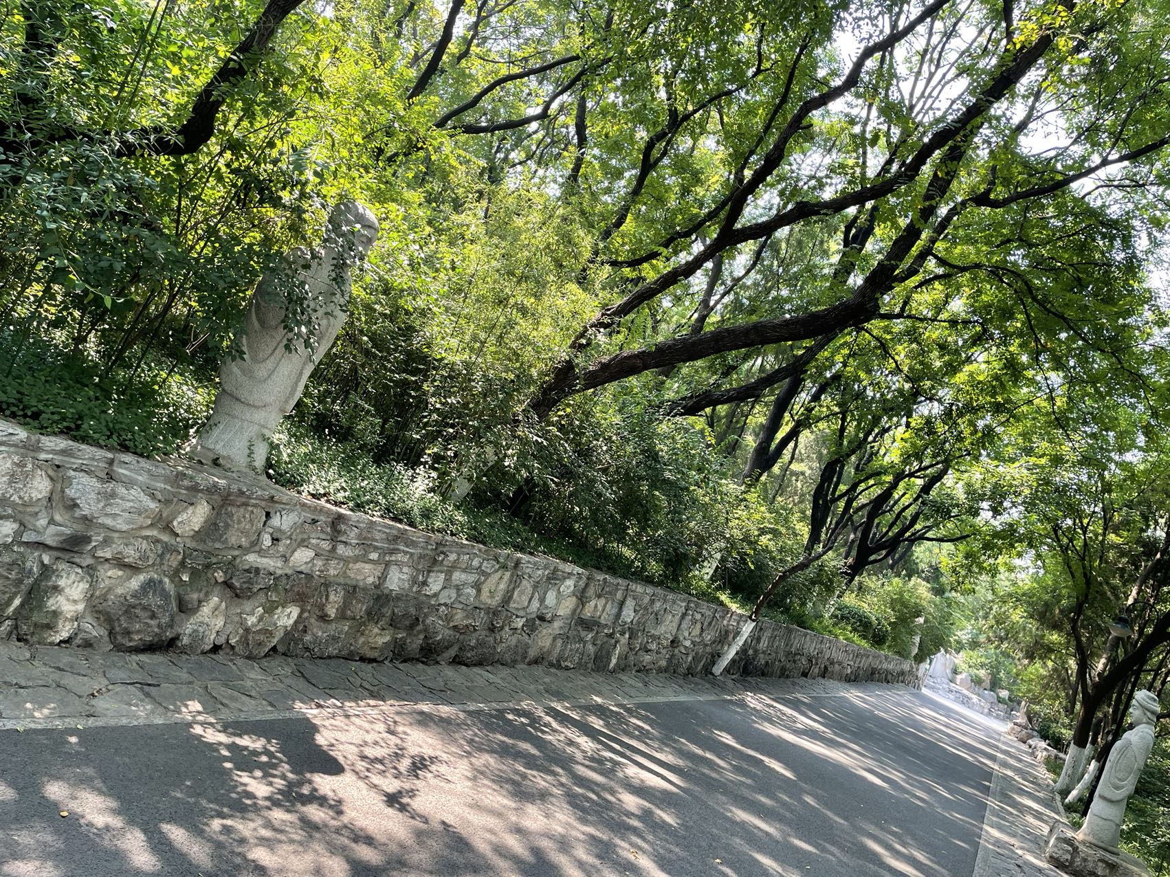 丛丛相亲交友平台