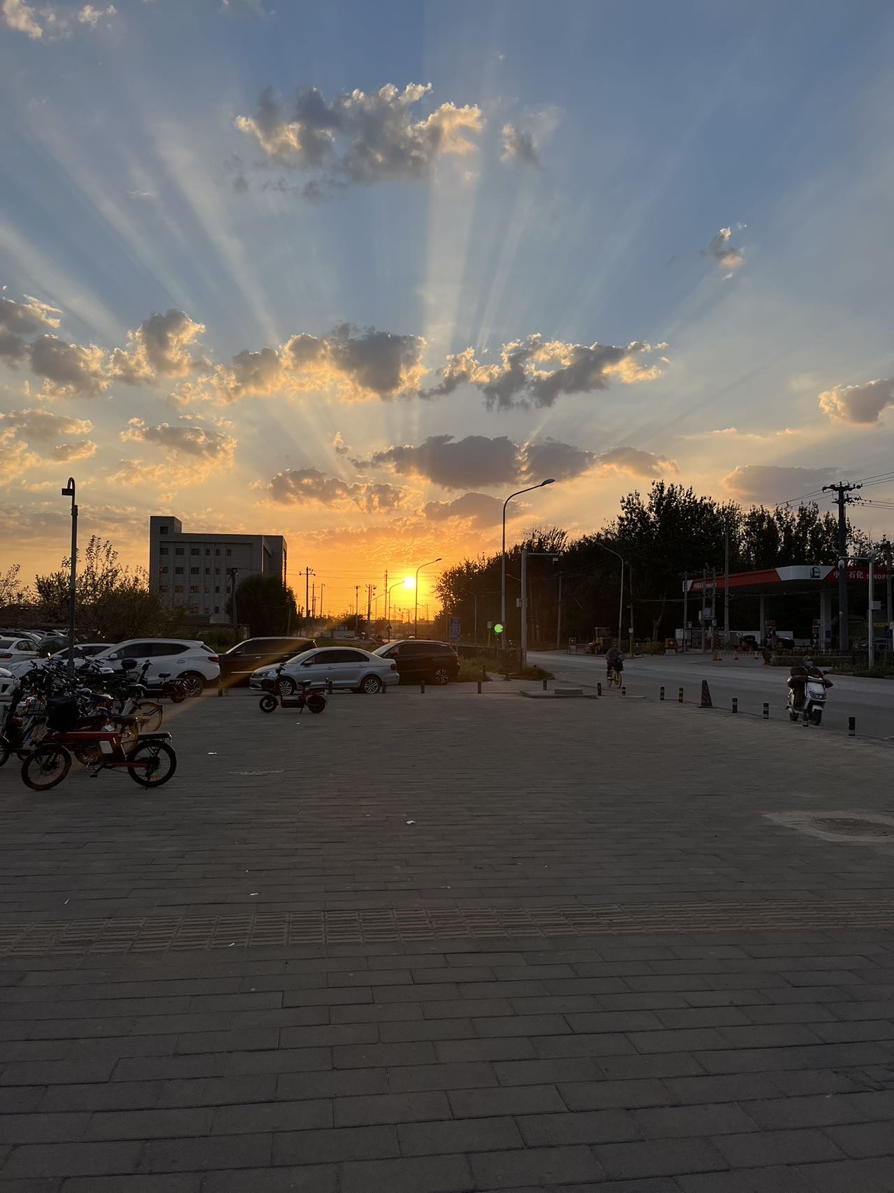 丛丛相亲交友平台