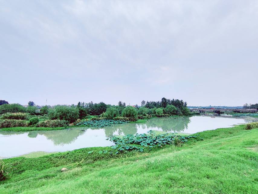 丛丛相亲交友平台