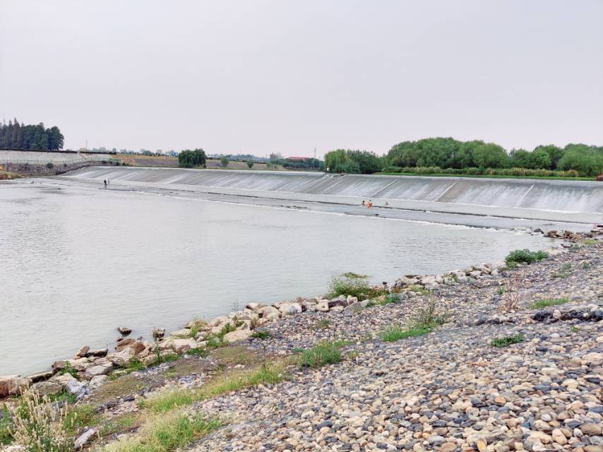 丛丛相亲交友平台