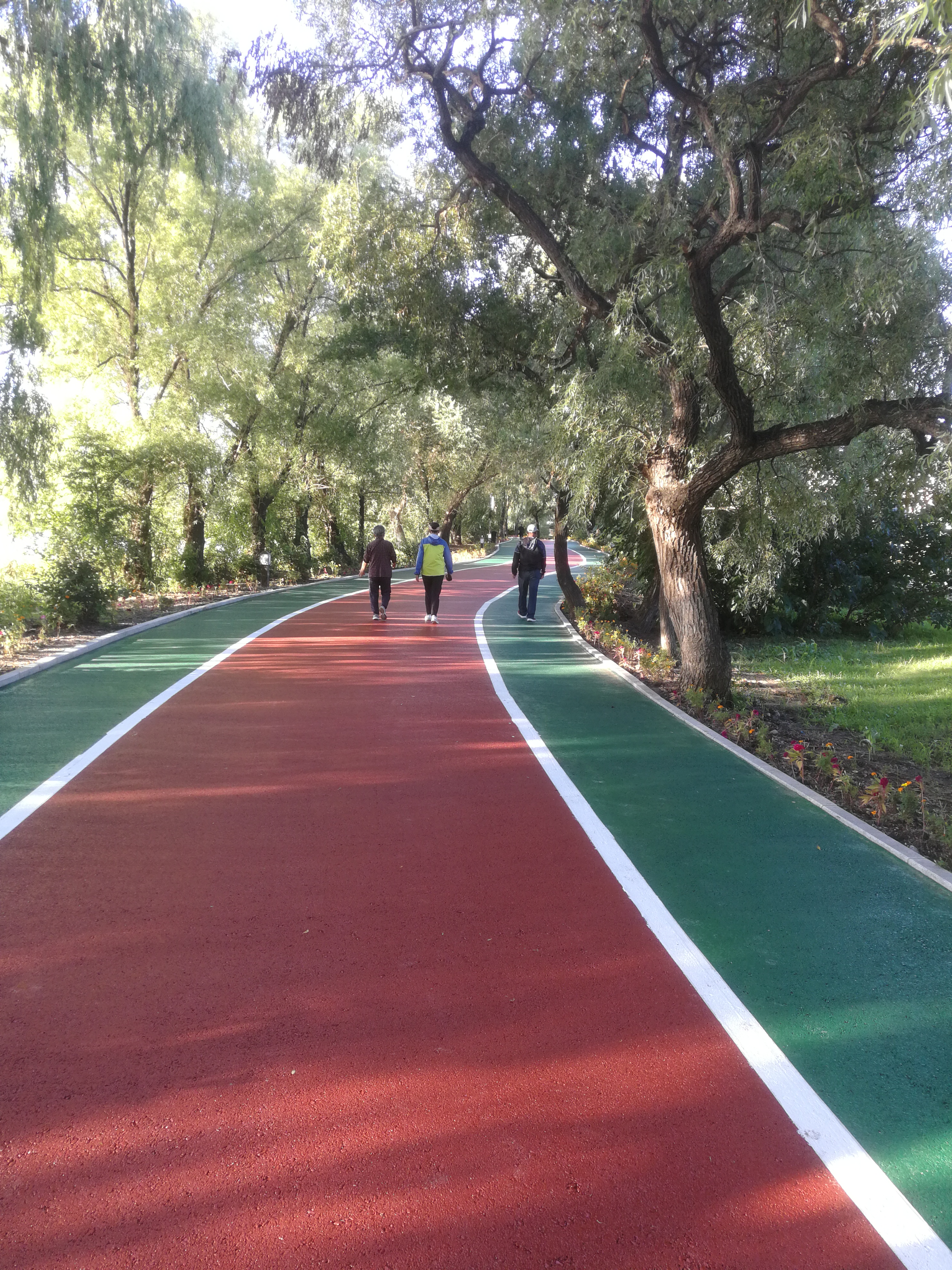 丛丛相亲交友平台