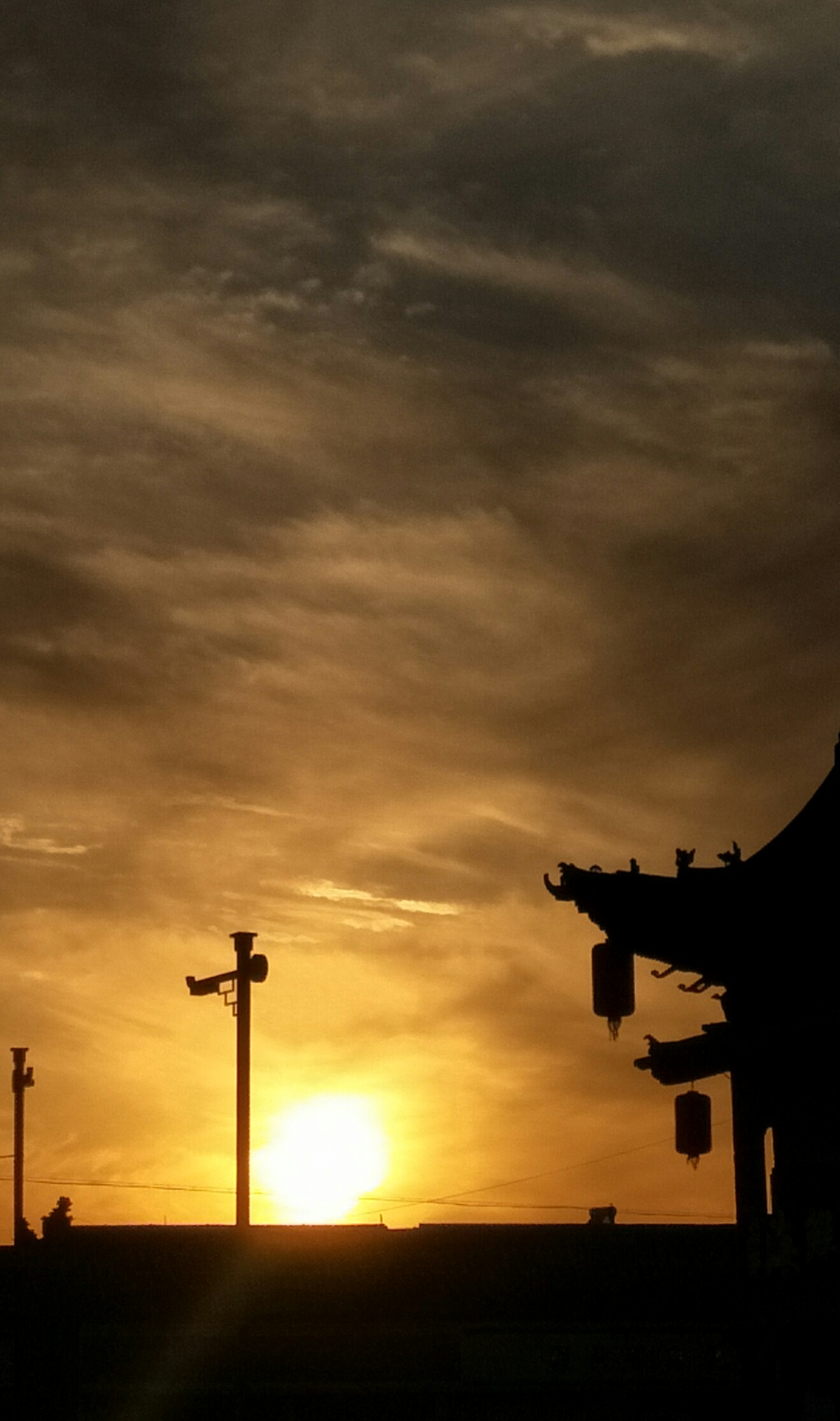 丛丛相亲交友平台