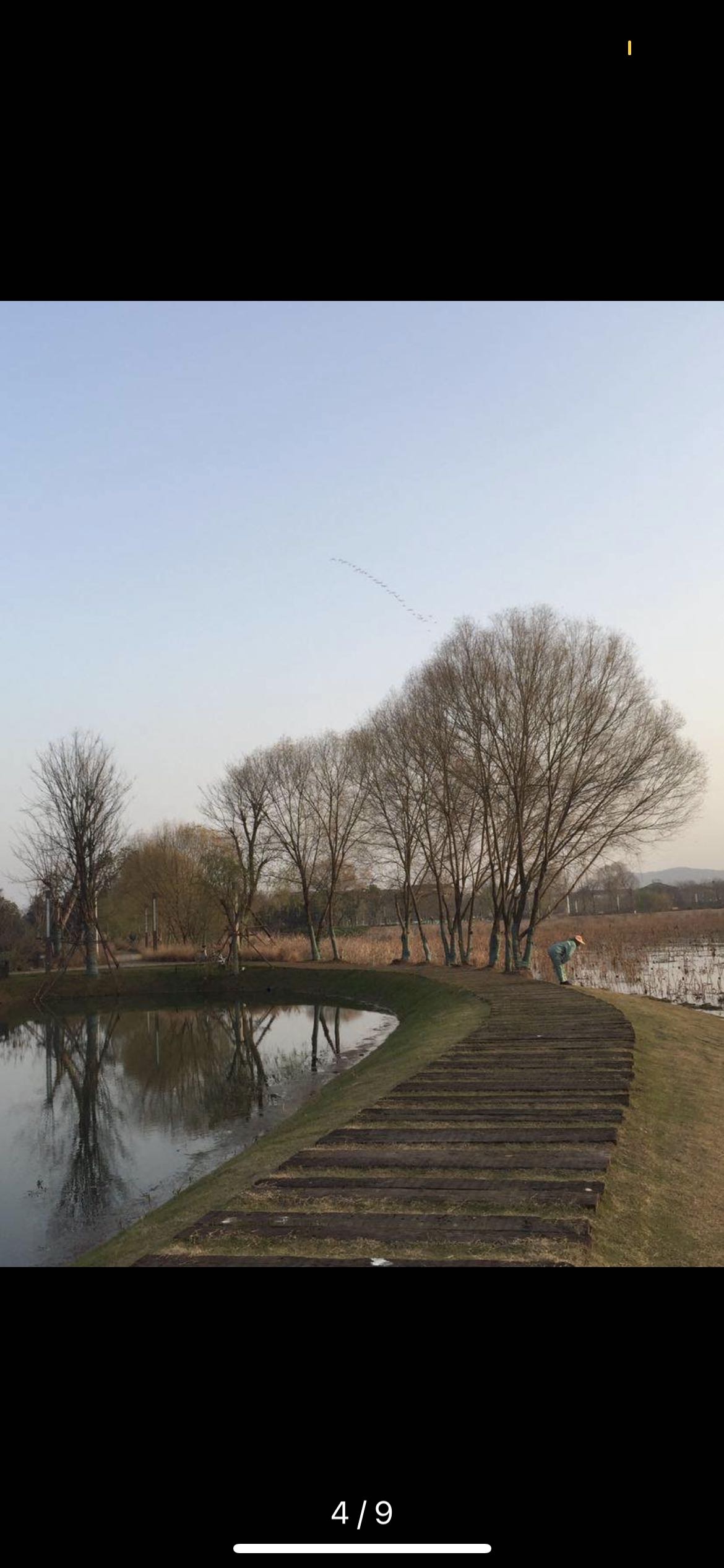 丛丛相亲交友平台