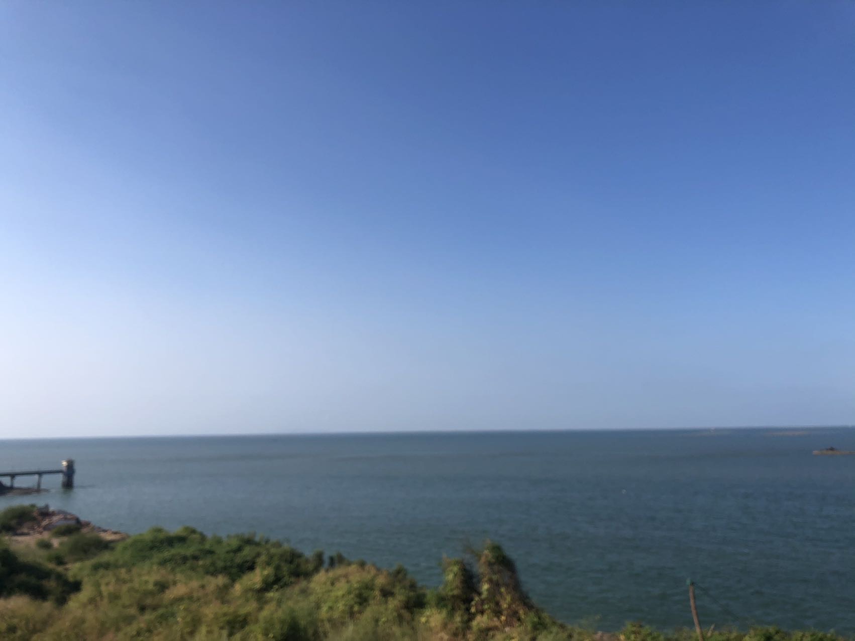 丛丛相亲交友平台