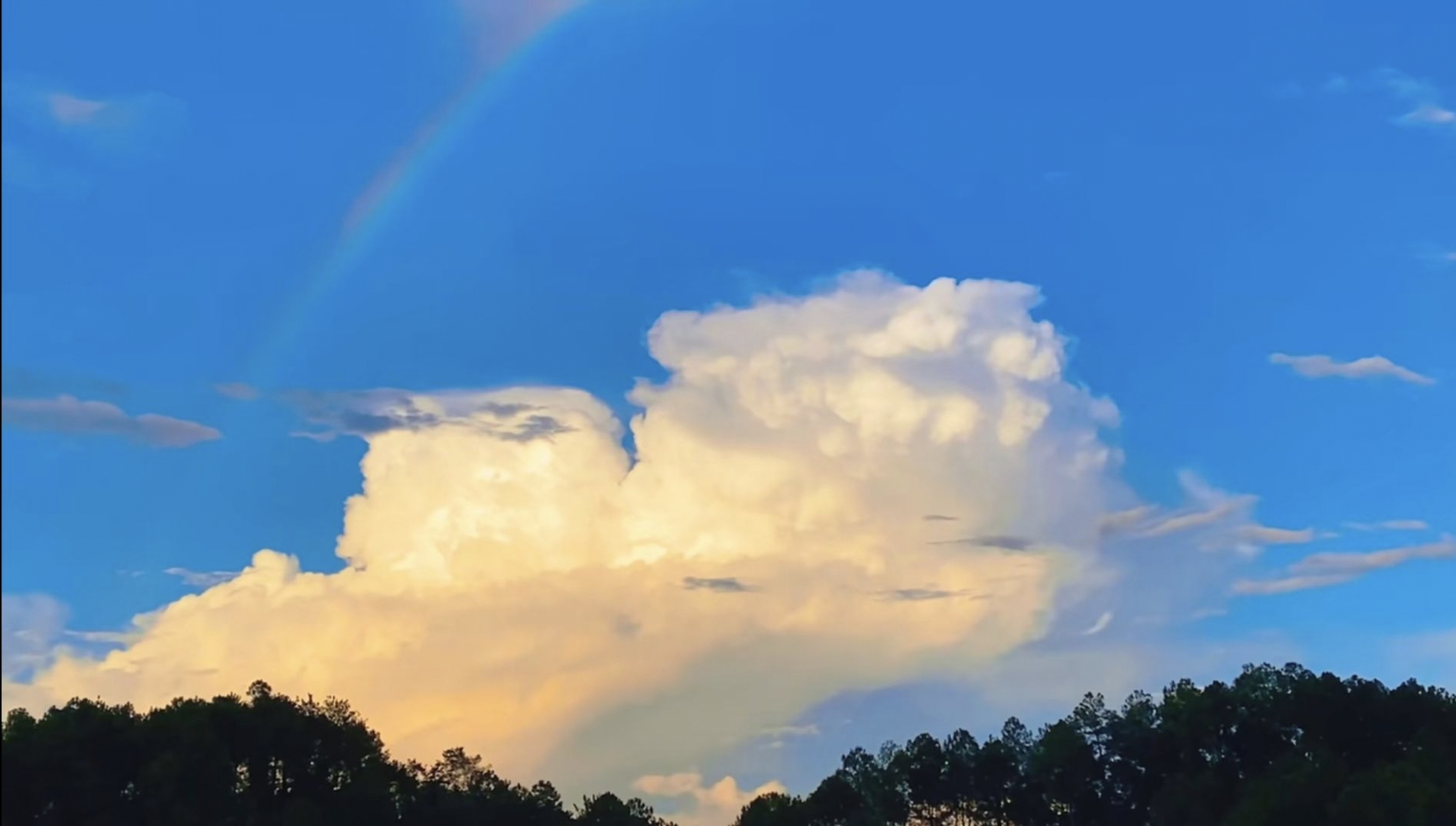 丛丛相亲交友平台