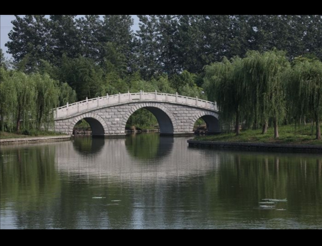 丛丛相亲交友平台