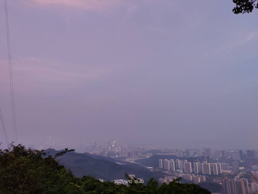 找搭子