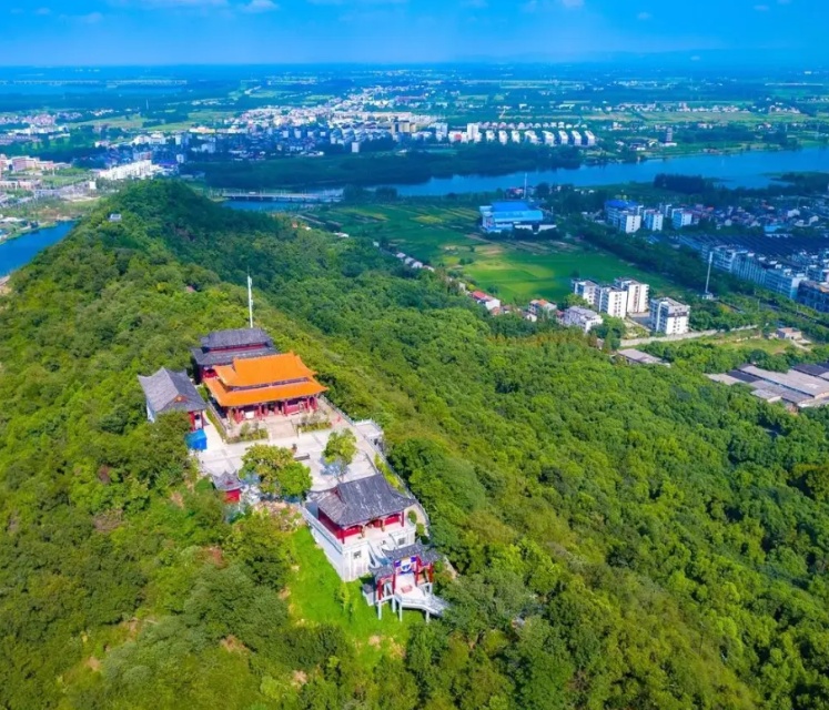 丛丛相亲交友平台