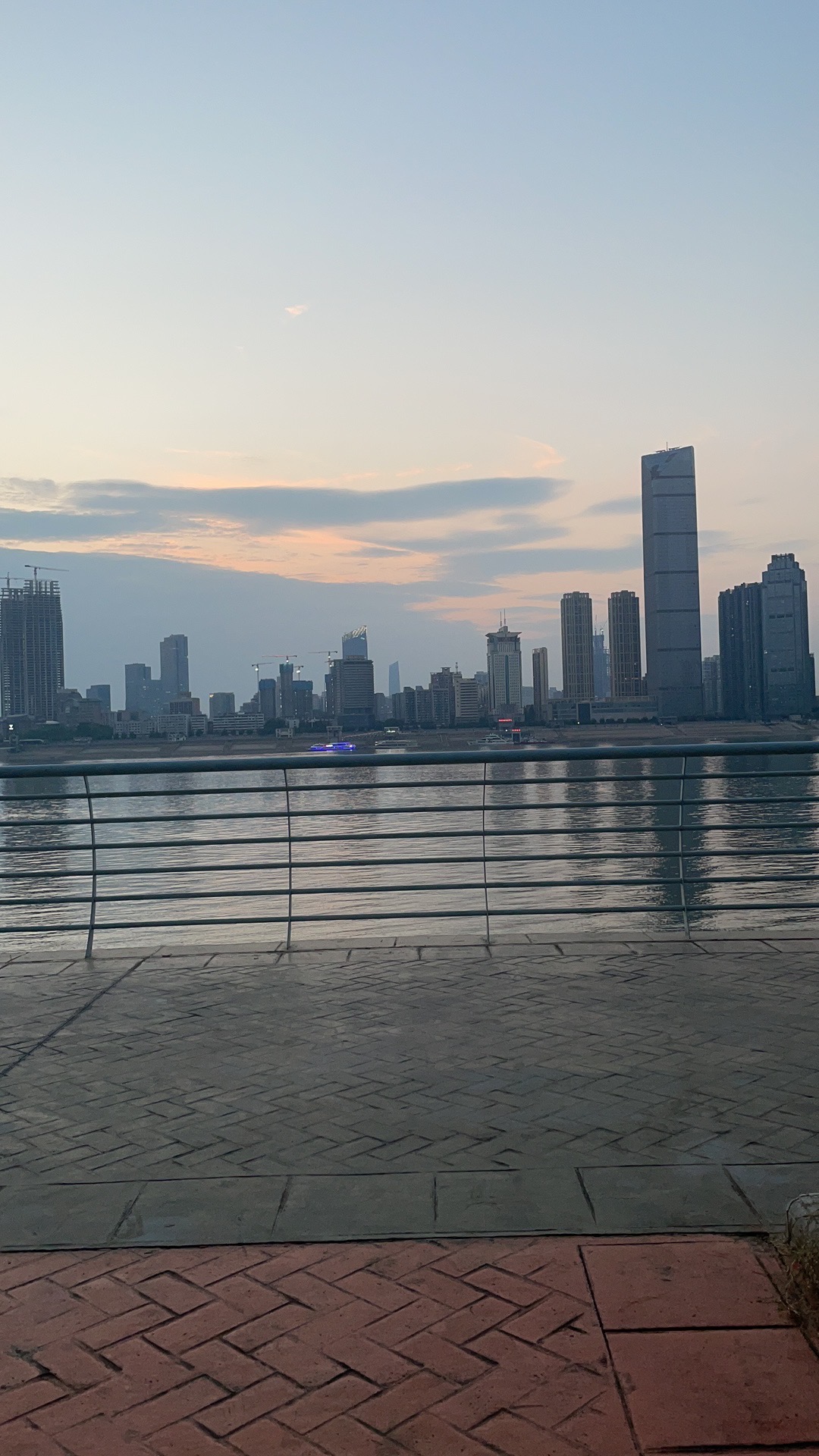 丛丛相亲交友平台