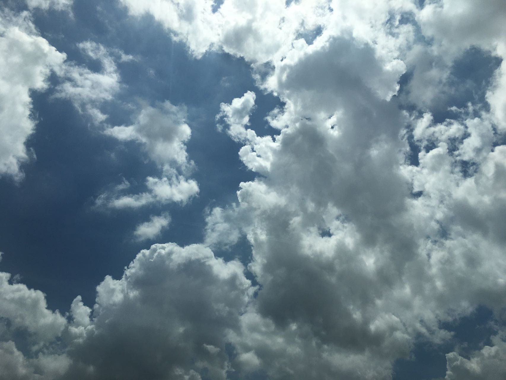 丛丛相亲交友平台