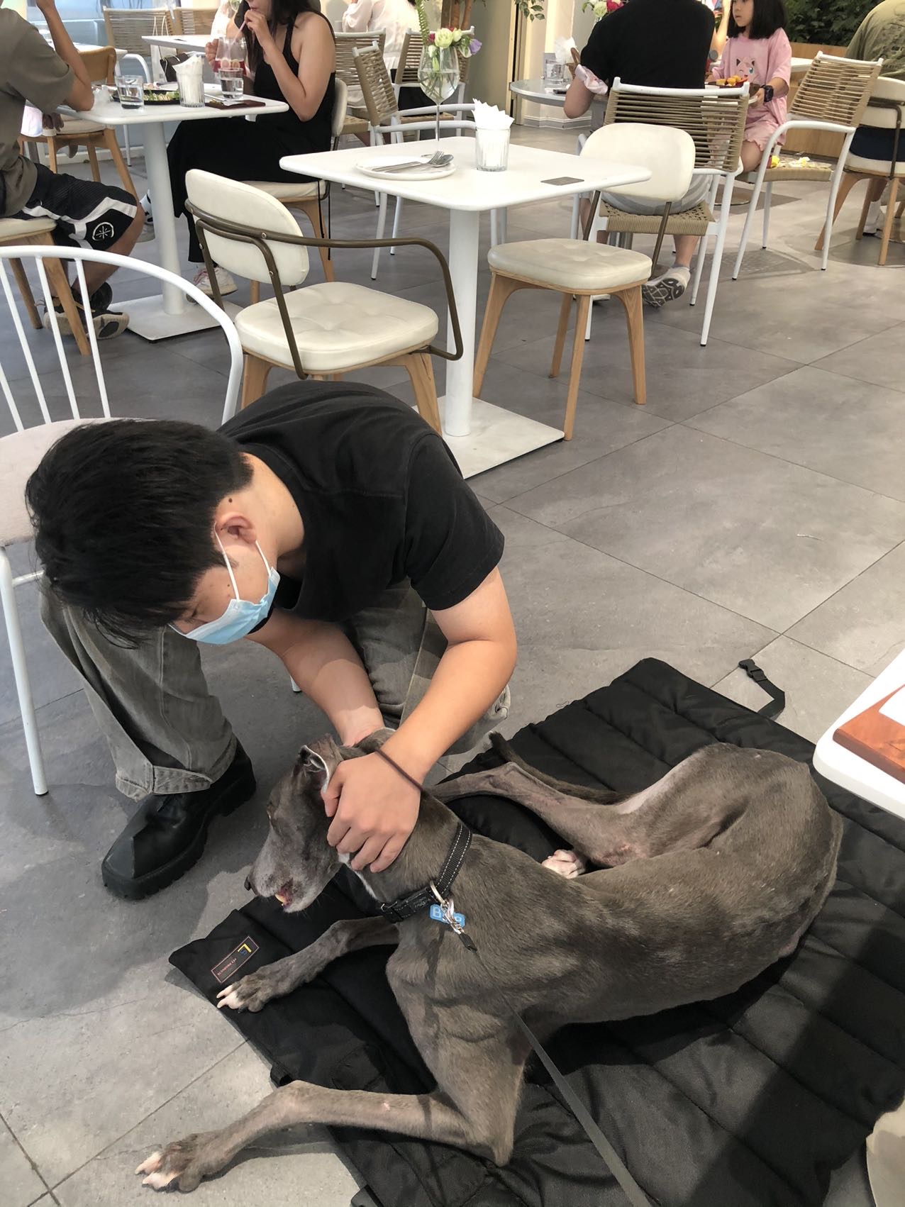 丛丛相亲交友平台