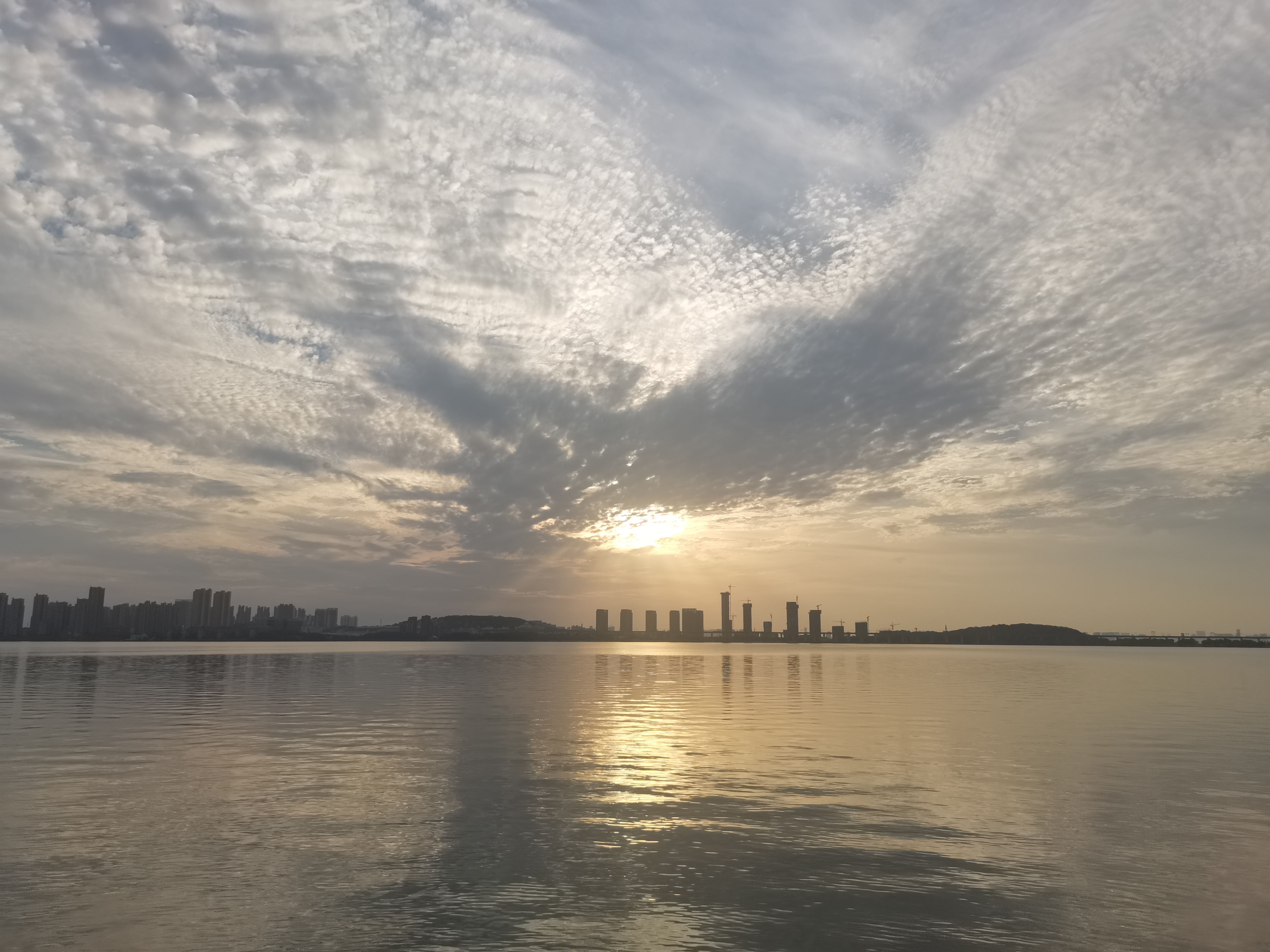 丛丛相亲交友平台