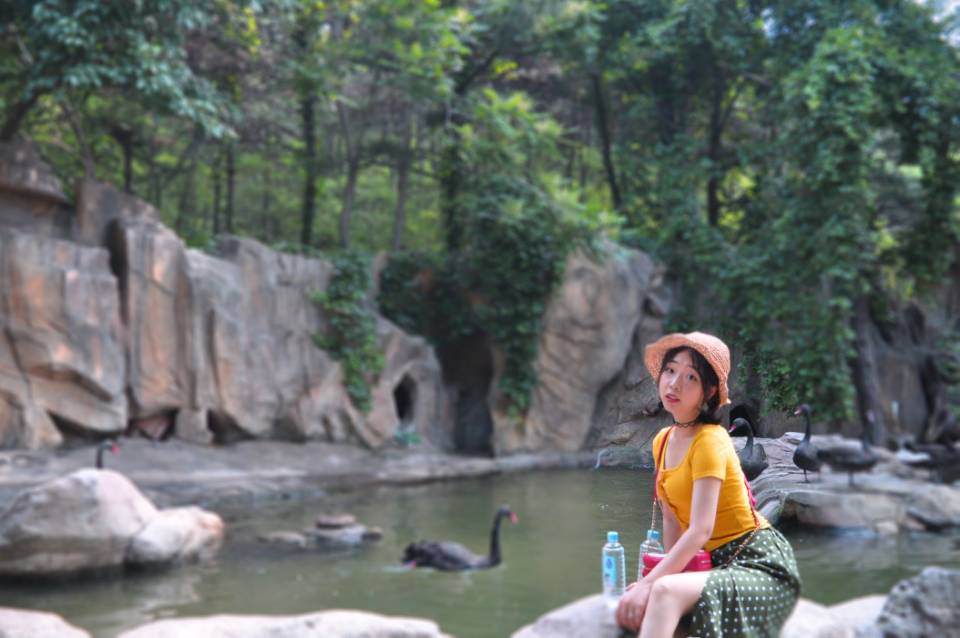 丛丛相亲交友平台