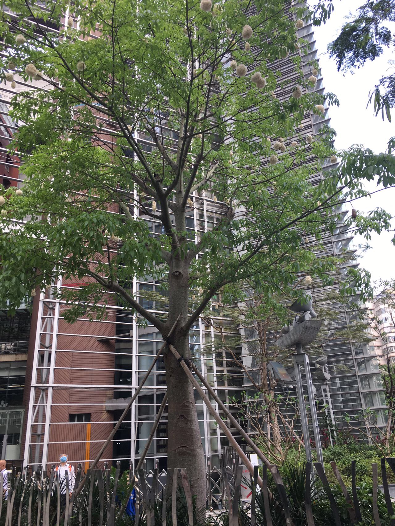 丛丛相亲交友平台