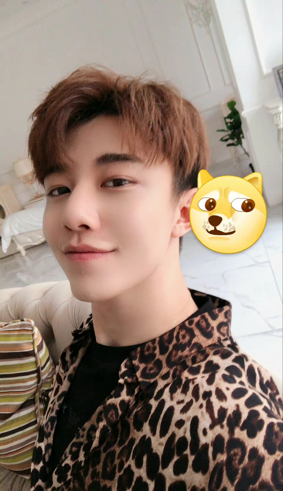 丛丛相亲交友平台