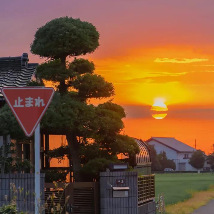 丛丛相亲交友平台