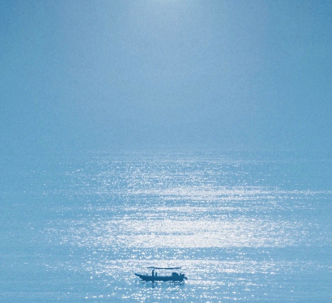 丛丛相亲交友平台