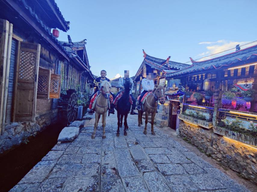 丛丛相亲交友平台