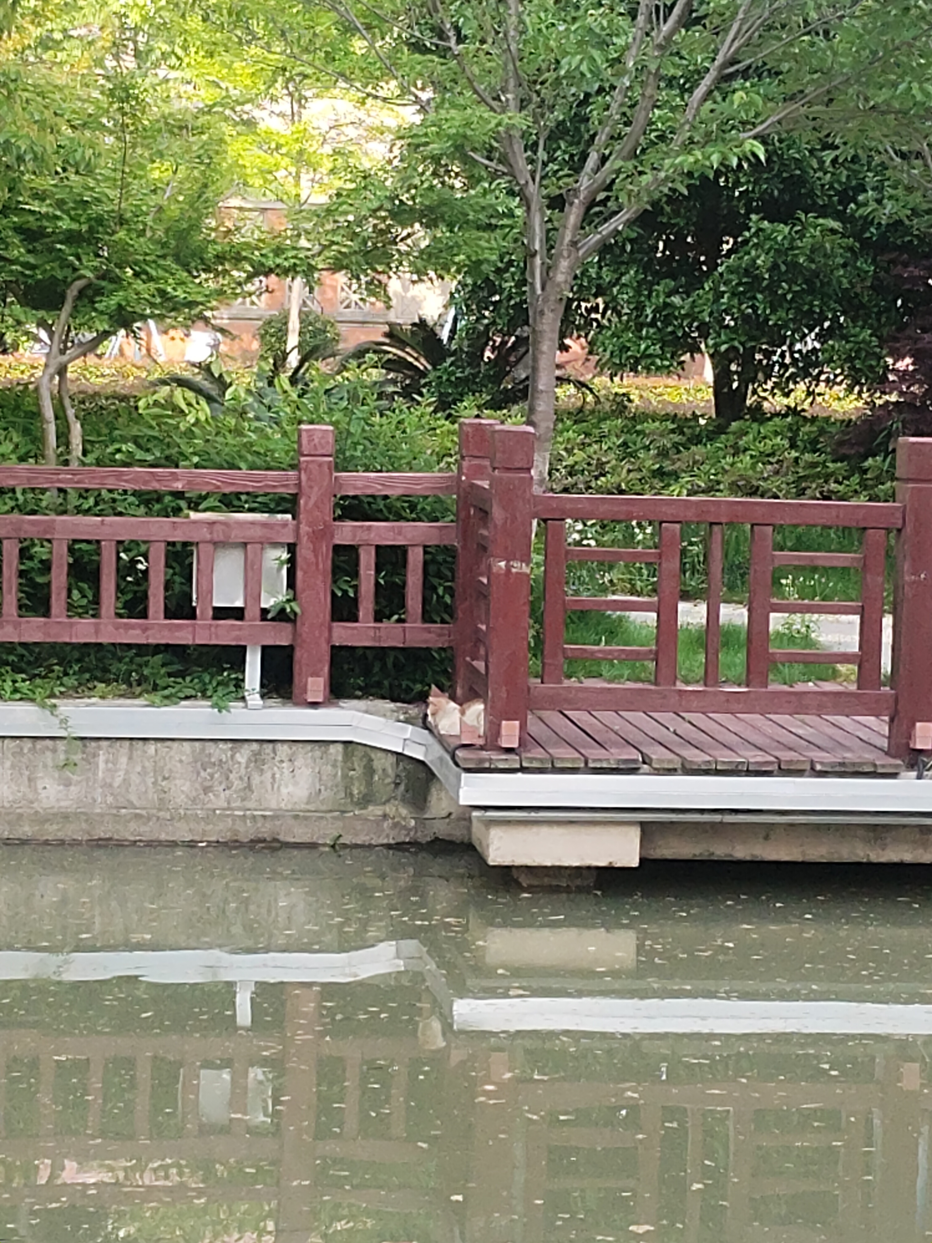 丛丛相亲交友平台