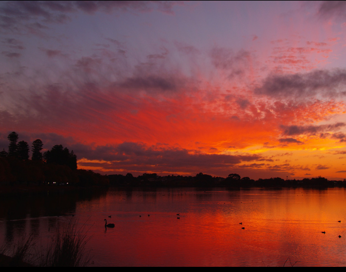 丛丛相亲交友平台