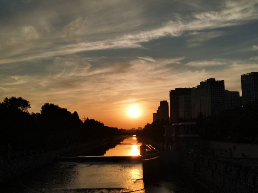 丛丛相亲交友平台