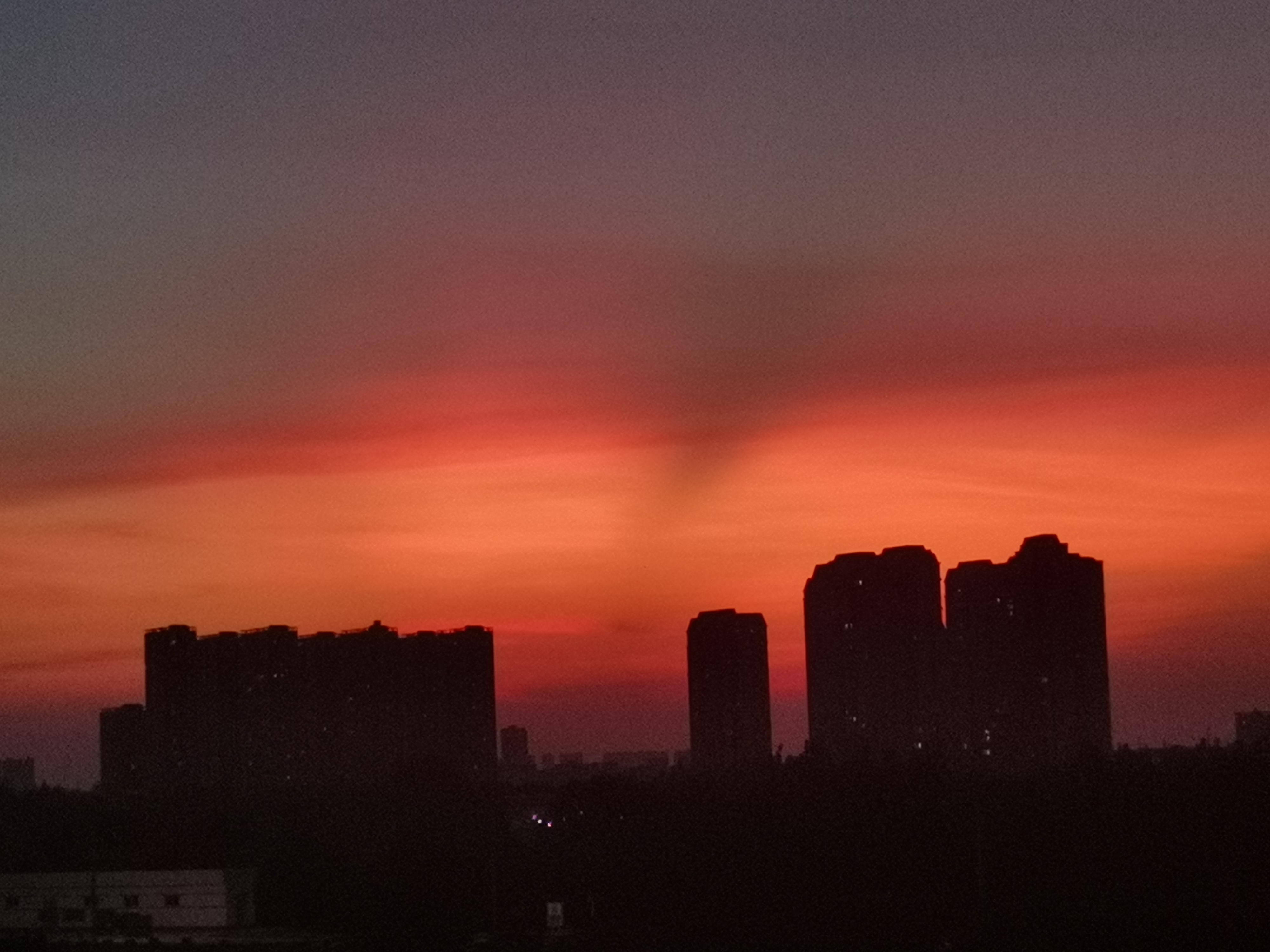 丛丛相亲交友平台