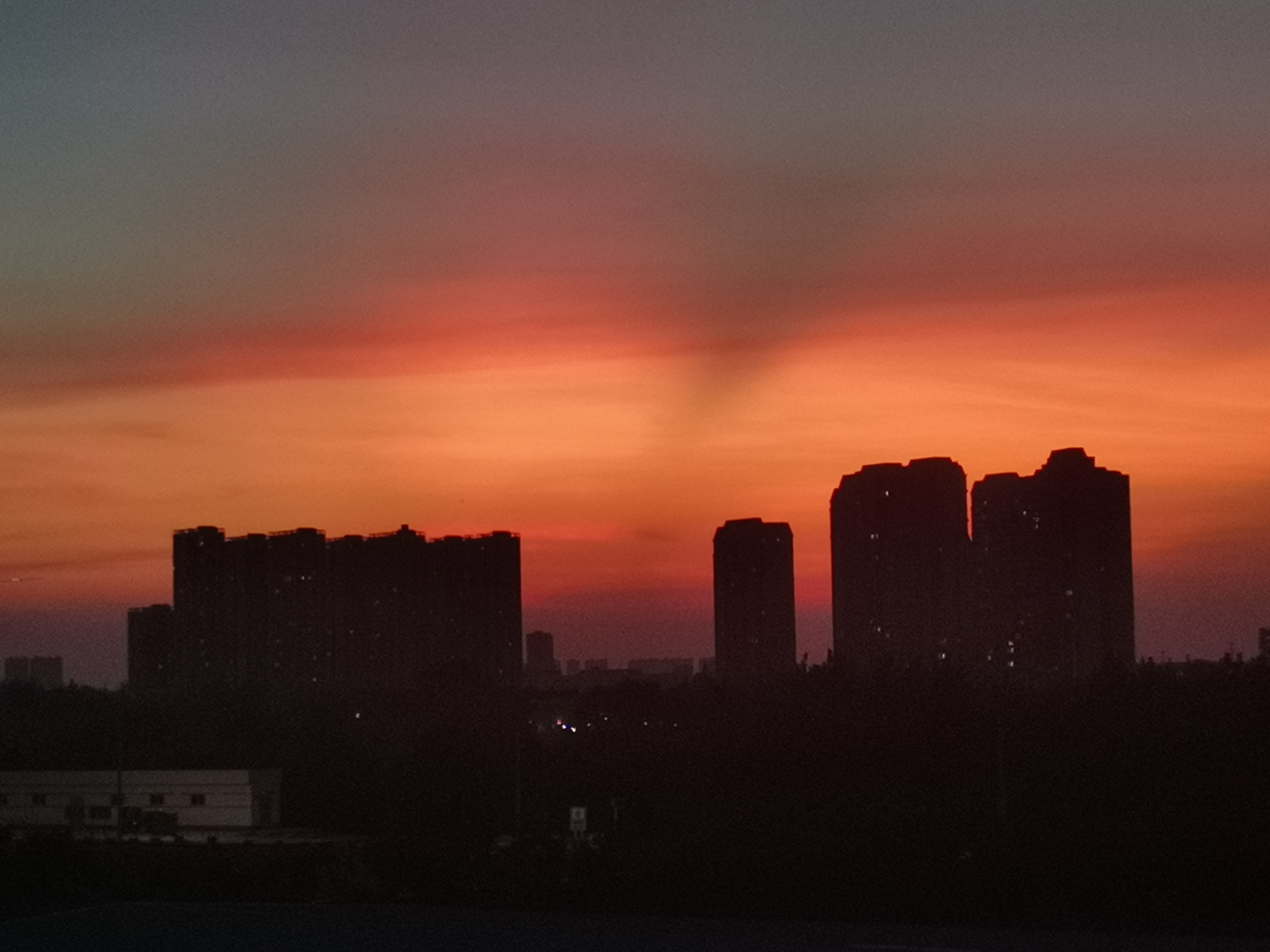 丛丛相亲交友平台