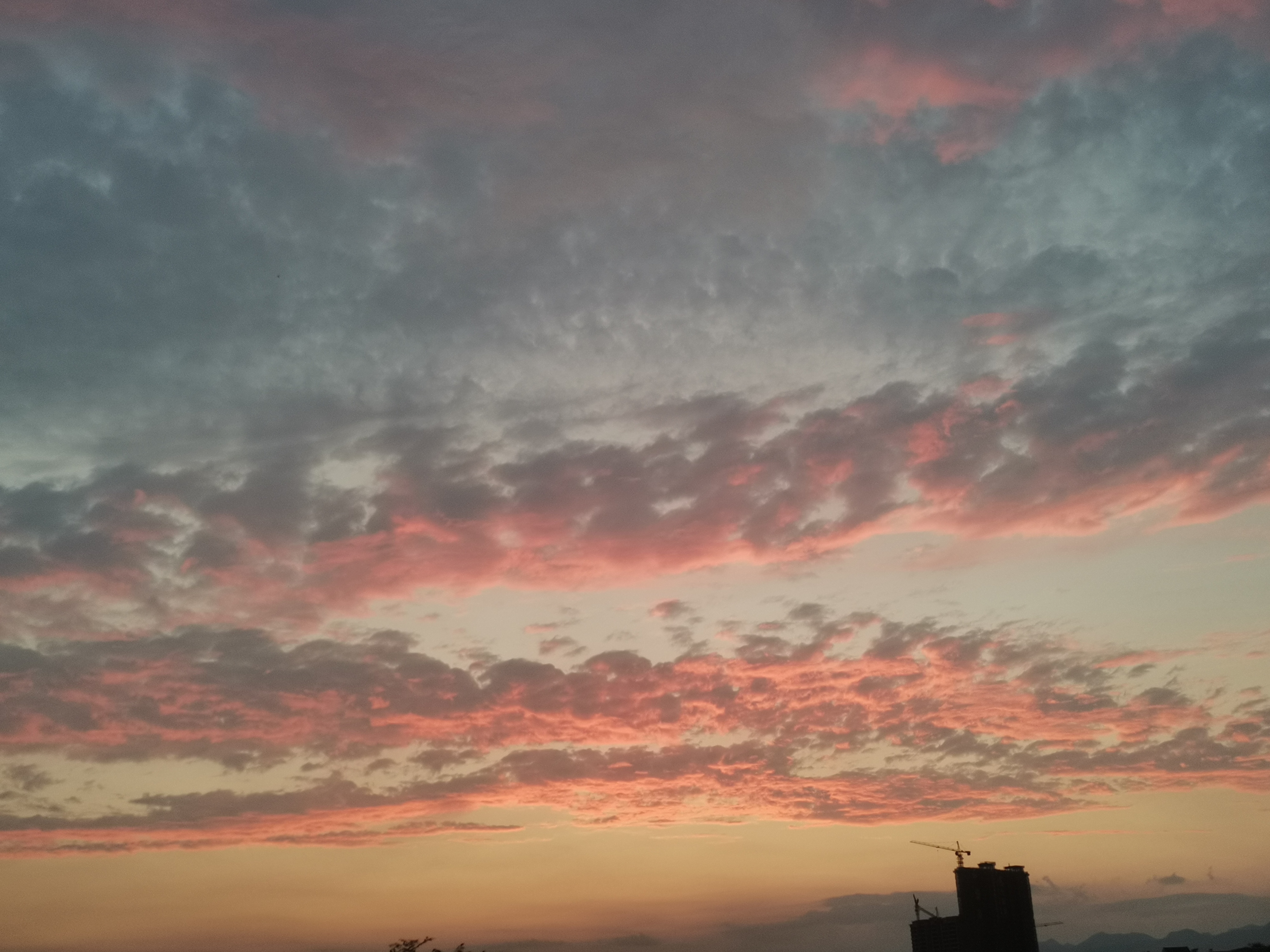 丛丛相亲交友平台