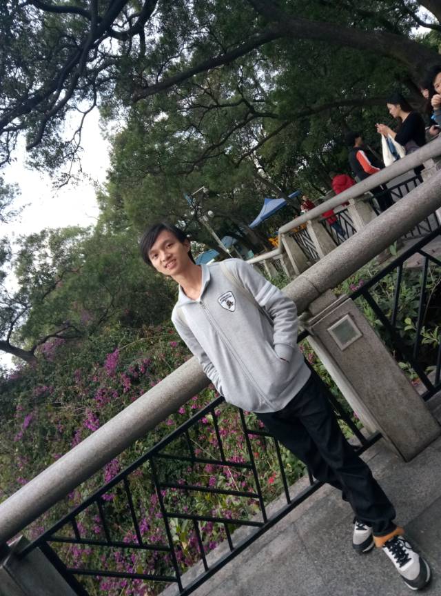 丛丛相亲交友平台