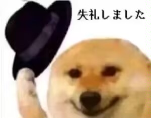 丛丛相亲交友平台