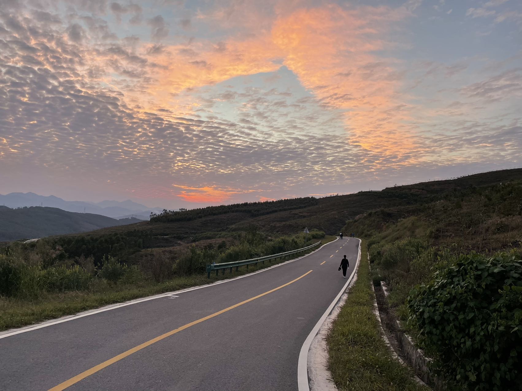 丛丛相亲交友平台