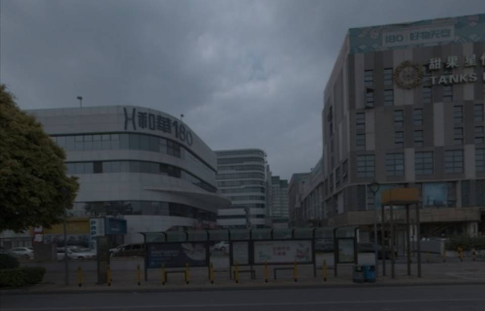 丛丛相亲交友平台