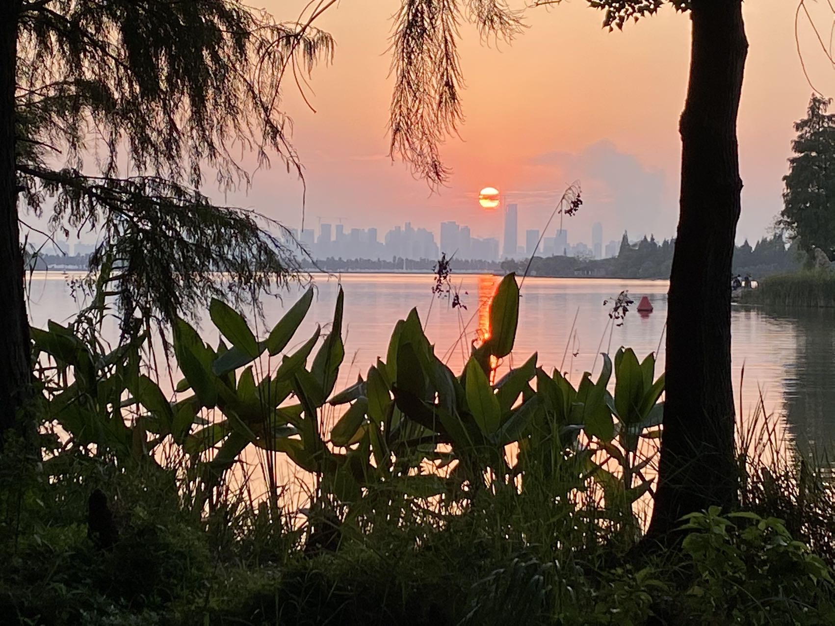 丛丛相亲交友平台